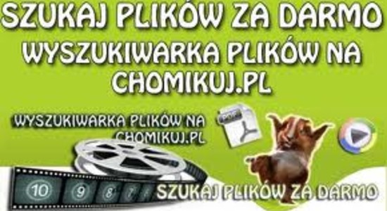 SA: można Chomikuj.pl nazywać pirackim portalem