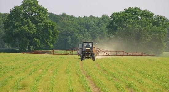 Nowa ustawa ma promować rolnicze grupy producentów