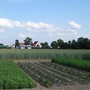 ETS: pomoc państwa, także polskiego,  przy zakupie gruntów rolnych była dopuszczalna